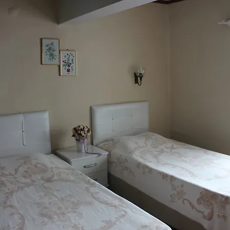 Macide Hanim Konagi Séjour chez l'habitant Ayvalı